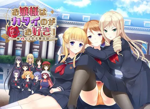 お嬢様はカタイのがお好き！ ～神性なる女子寮日記～