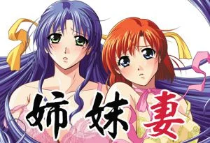 [VJ009969][13cm] 姉妹妻 【Android版】
