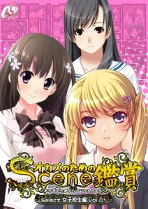 おかずのためのシーン鑑賞 女子校生編 vol.1 [VJ012938][制作: Mink]