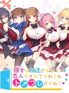 彼女は友達ですか？恋人ですか？それともトメフレですか？ 【Android版】 [VJ012954][制作: DESSERT Soft]