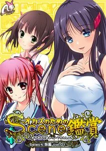 おかずのためのシーン鑑賞 妹編 vol.1 [VJ013002][制作: Mink]