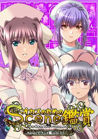 おかずのためのシーン鑑賞 ナース編 Vol.1