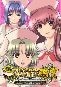 おかずのためのシーン鑑賞 ナース編 Vol.2 [VJ013192][制作: Mink]