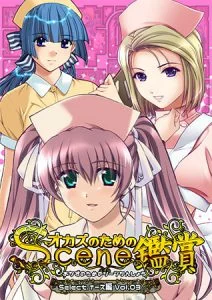 おかずのためのシーン鑑賞 ナース編 Vol.3 [VJ013502][制作: Mink]