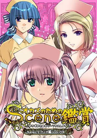 おかずのためのシーン鑑賞 ナース編 Vol.3