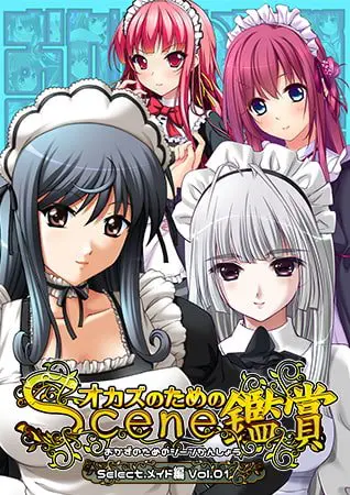 おかずのためのシーン鑑賞 メイド編 vol.1 おかずのためのシーン鑑賞 メイド編 vol.1