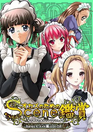 おかずのためのシーン鑑賞 メイド編 vol.2 おかずのためのシーン鑑賞 メイド編 vol.2