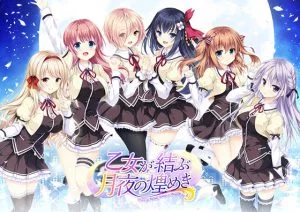 乙女が結ぶ月夜の煌めき [VJ012131][制作: ensemble]