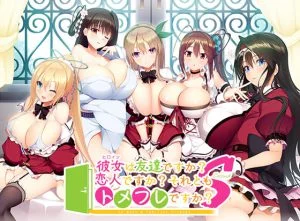 彼女は友達ですか？恋人ですか？それともトメフレですか？ Second [VJ014867][制作: DESSERT Soft]