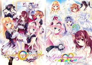 Golden Marriage −Jewel Days− 本編同梱版 [VJ014948][制作: ensemble]