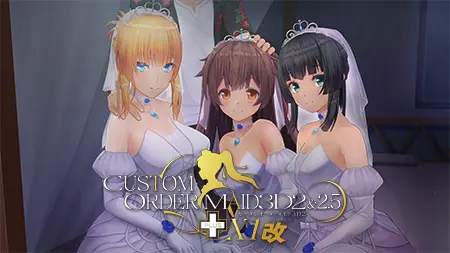 カスタムオーダーメイド3D2&2.5+ X1改 カスタムオーダーメイド3D2&2.5+ X1改