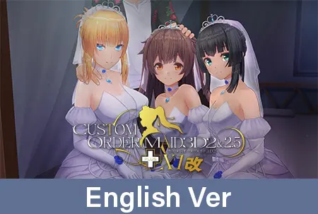 Custom Order Maid 3D2&2.5+ X1 Dark / 【英語版】カスタムオーダーメイド3D2&2.5+ X1改 Custom Order Maid 3D2&2.5+ X1 Dark / 【英語版】カスタムオーダーメイド3D2&2.5+ X1改