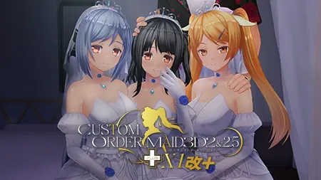 カスタムオーダーメイド3D2＆2.5+ X1改+