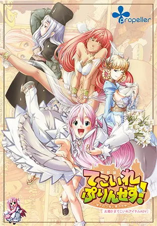 てこいれぷりんせす!~僕が見えない君のため~ てこいれぷりんせす!~僕が見えない君のため~