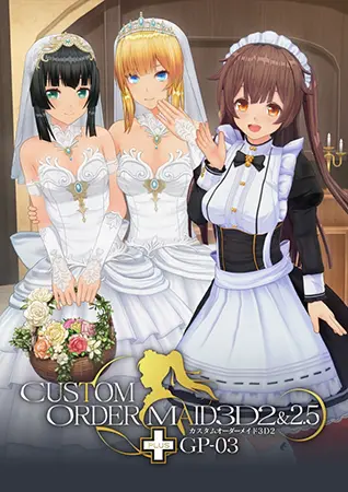 カスタムオーダーメイド3D2&2.5+ GP-03 カスタムオーダーメイド3D2&2.5+ GP-03