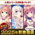 Whirlpool人気作詰合わせ福袋2025【1月7日まで期間限定】