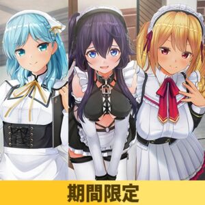 【期間限定】カスタムオーダーメイド3D2&2.5 EXキャラクター性格パック [VJ01005258][制作: Kiss]
