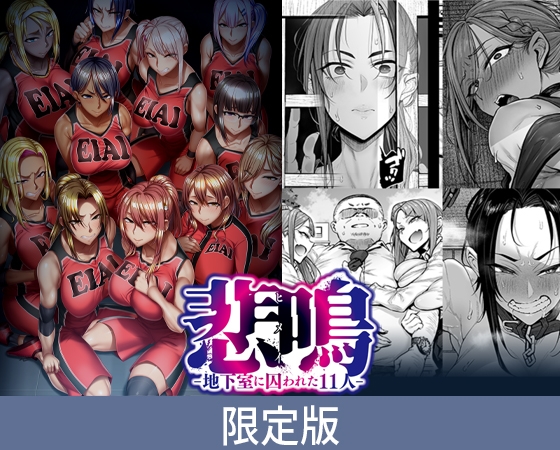 悲鳴 ~after~ ショートストーリー セット版 限定版 悲鳴 ~after~ ショートストーリー セット版 限定版