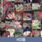 【HD版】自宅警备员 第三任务 欲求不满的爆乳人妻・翔子篇 / 【簡体中文版】自宅警備員 ～3rdミッション ホシガリ爆乳人妻・翔子～編 [VJ01005297][制作: PoROre:]