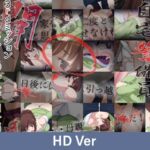 【HD Version】Security Guard at Home – 3rd Mission: The Desiring Busty Wife Shoko / 【英語版】自宅警備員 ～3rdミッション ホシガリ爆乳人妻・翔子～編 [VJ01005298][制作: PoROre:]